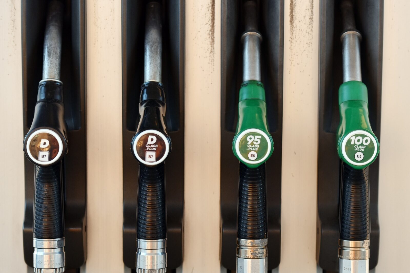 Foto: Hrvoje Jelavic/PIXSELL