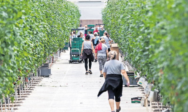 Proces učenja i edukacije radnika u ovoj tvrtki traje otprilike tri mjeseca/Davor Puklavec/PIXSELL