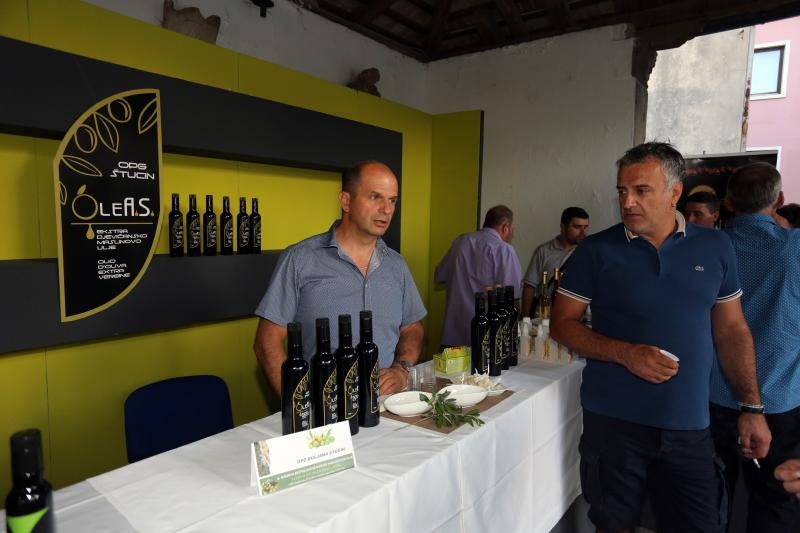 Foto: Goran Kovacic/PIXSELL