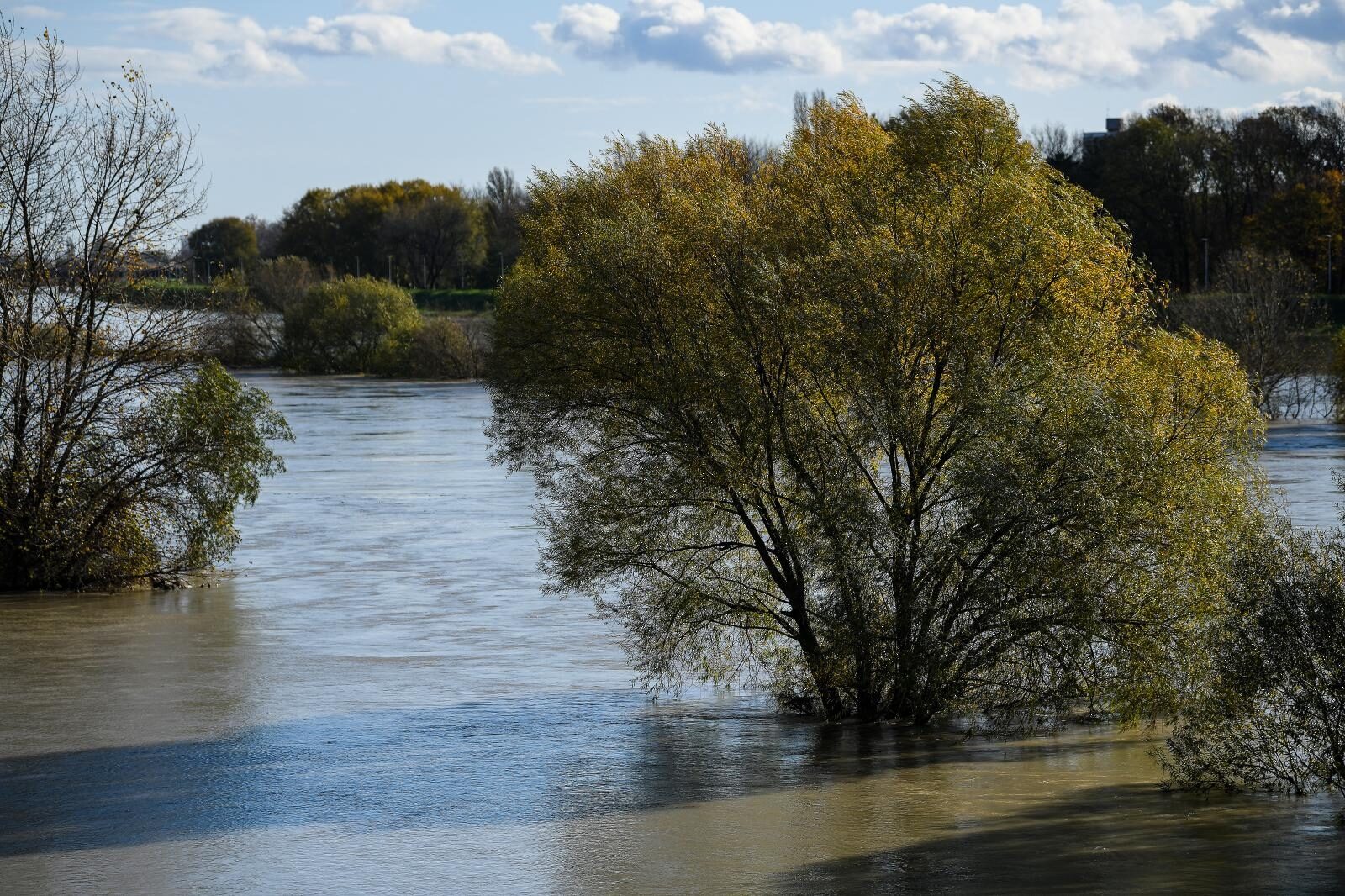 Foto: Sandra Simunovic/PIXSELL