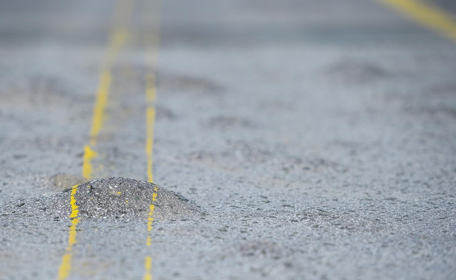 Foto: Marko Prpic/PIXSELL