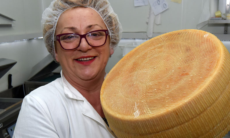 Vesna Grubešić/D. Marušić/PIXSELL