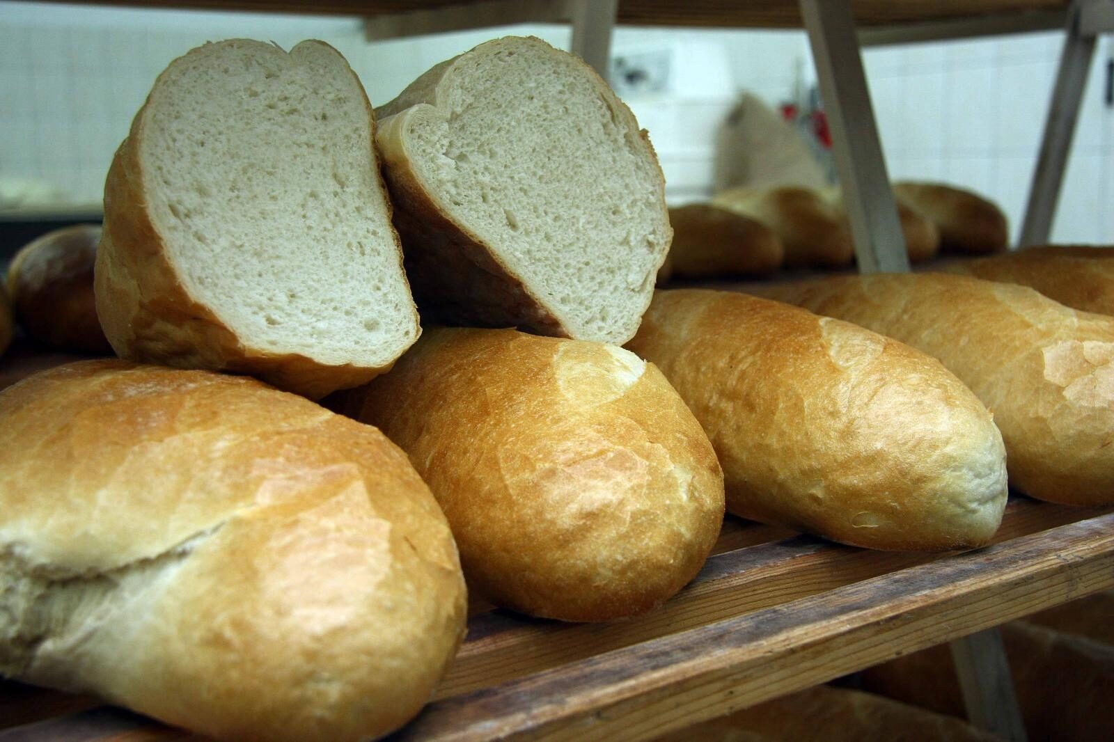 Foto: Kristijan Herceg / Pixsell