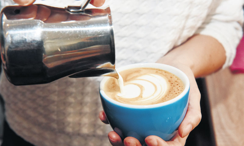 Pretplatnik na web shopu svaki mjesec dobiva određene pržionice na svoju adresu