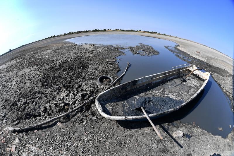 Foto: Srđan Ilić / Pixsell