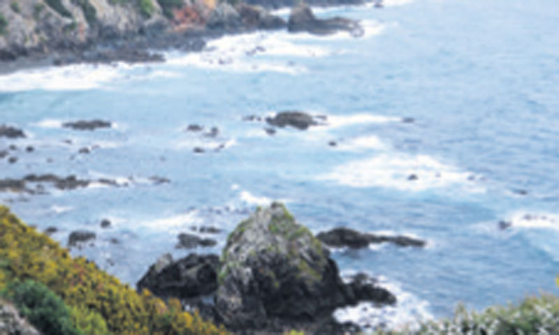 Namet 35 dolara/FOTOLIA