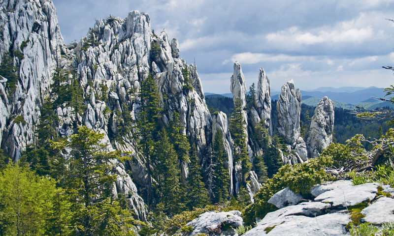 Foto: Privatni album