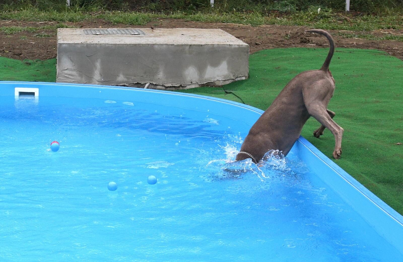 Foto: Žarko Bašić / Pixsell