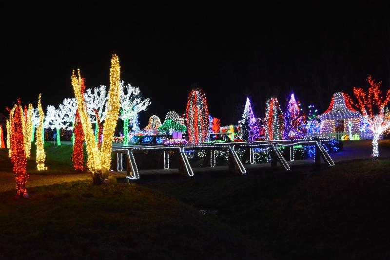 Foto: Damir Špehar / Pixsell