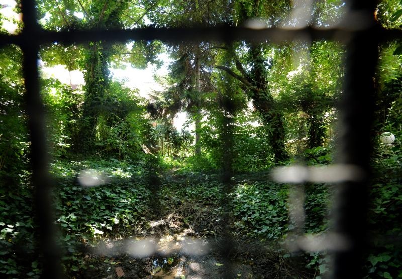 Foto: Marko Lukunić / Pixsell