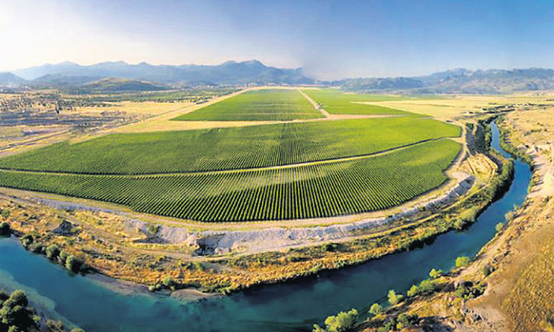 Gosti traže autohtone sorte vina i tradicionalni ugođaj