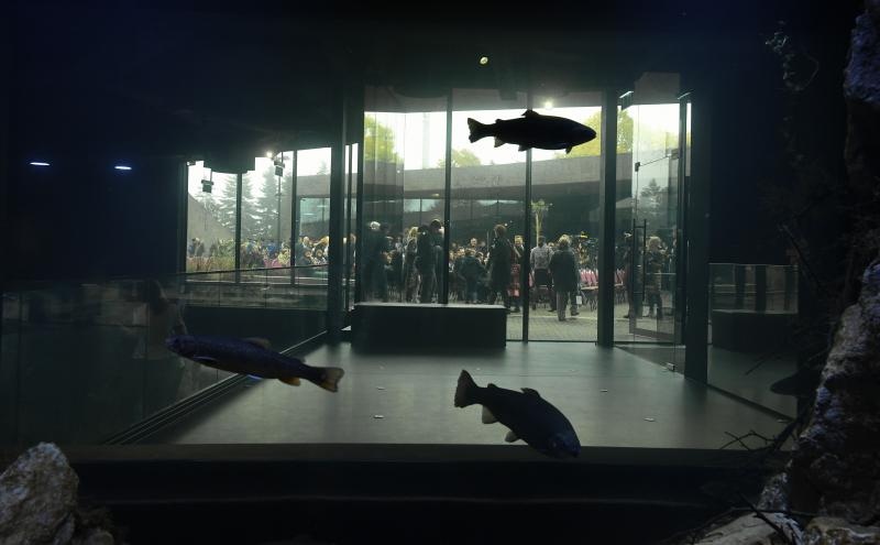 Foto: Davor Visnjic/PIXSELL