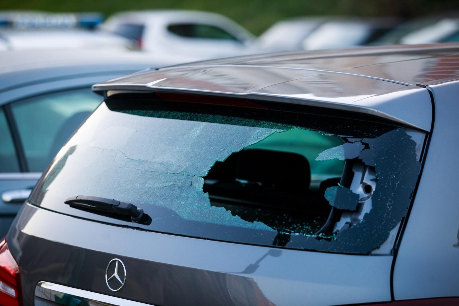 Foto: Milan Sabic/PIXSELL