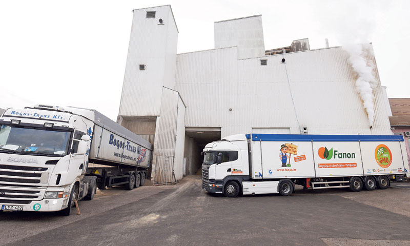 Foto: Vjeran Žganec Rogulja/PIXSELL