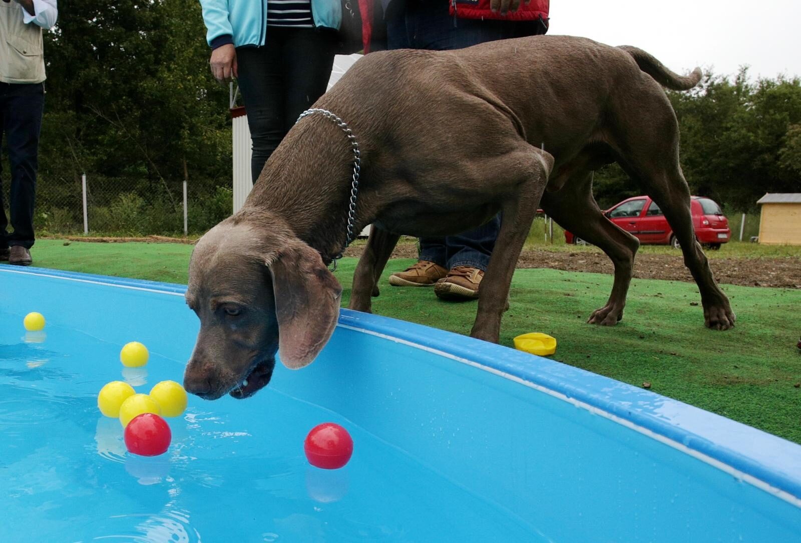 Foto: Žarko Bašić / Pixsell