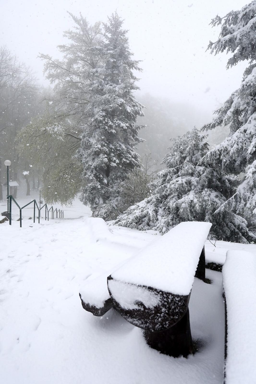 Foto: Patrik Macek/PIXSELL