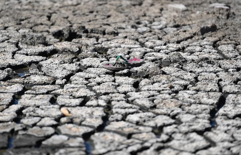 Foto: Srđan Ilić / Pixsell