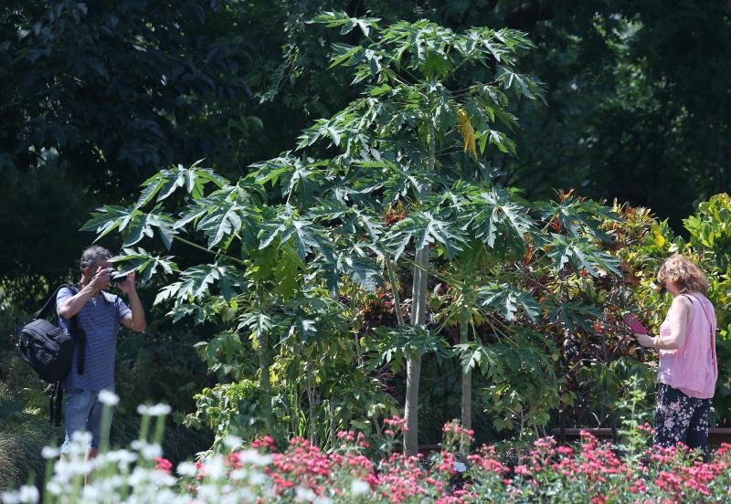 Foto: Sanjin Strukic/PIXSELL