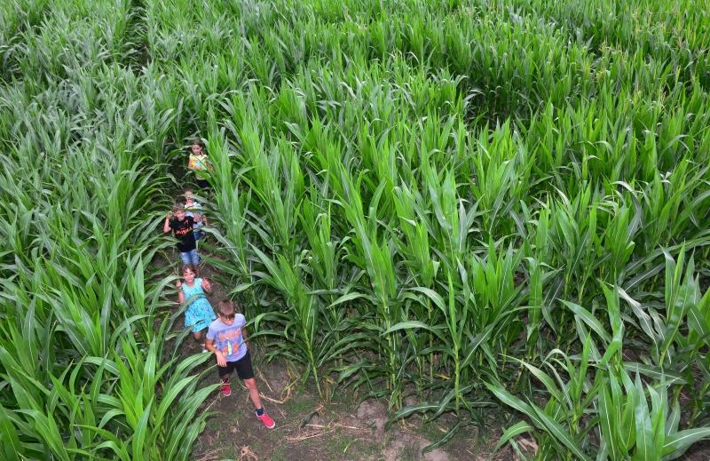 Foto: Ivica Galovic/PIXSELL