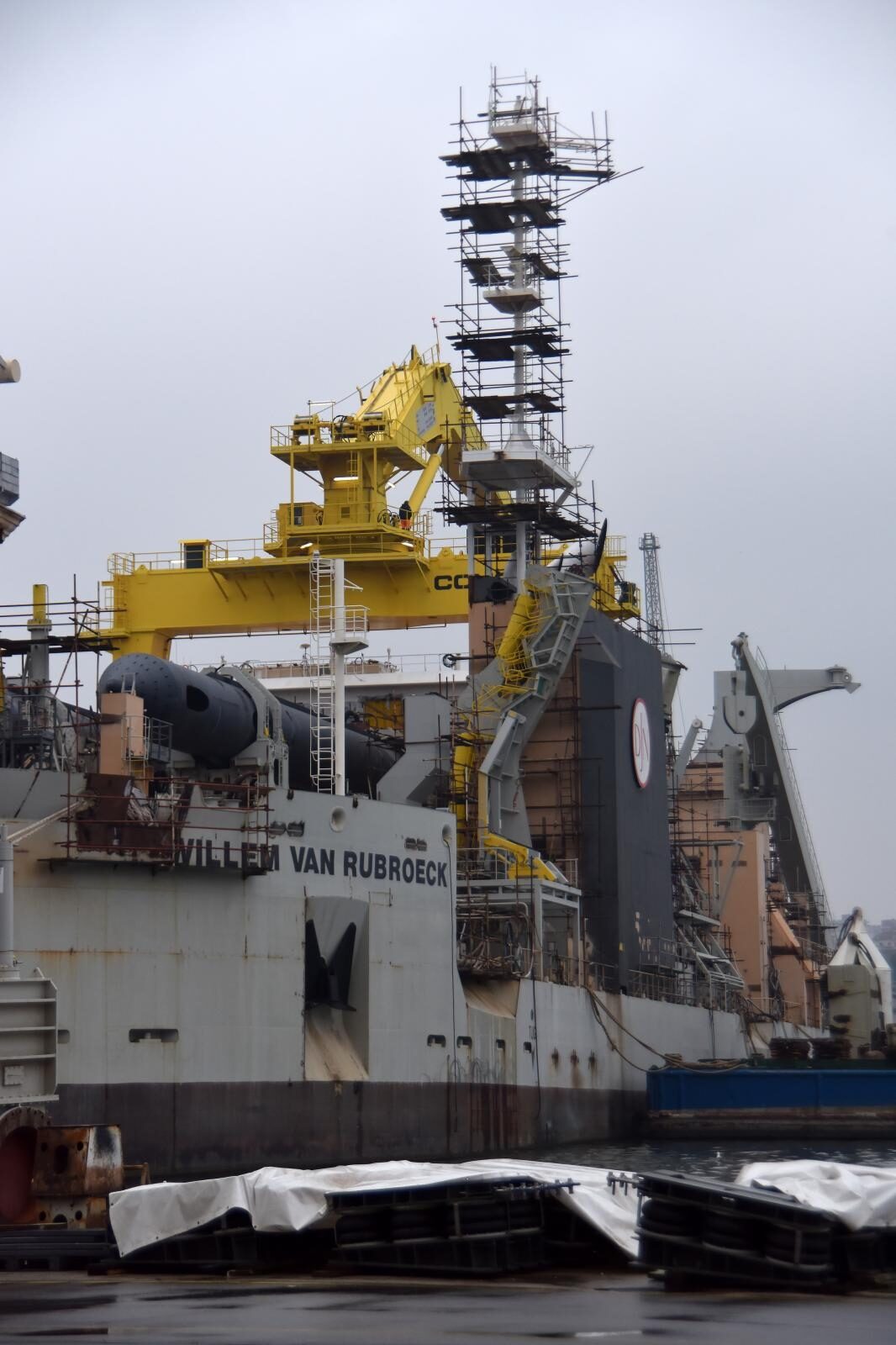 Foto: Dusko Marusic/PIXSELL