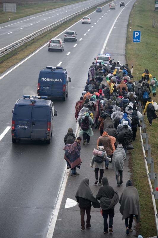 Foto: Srđan Ilić/PIXSELL