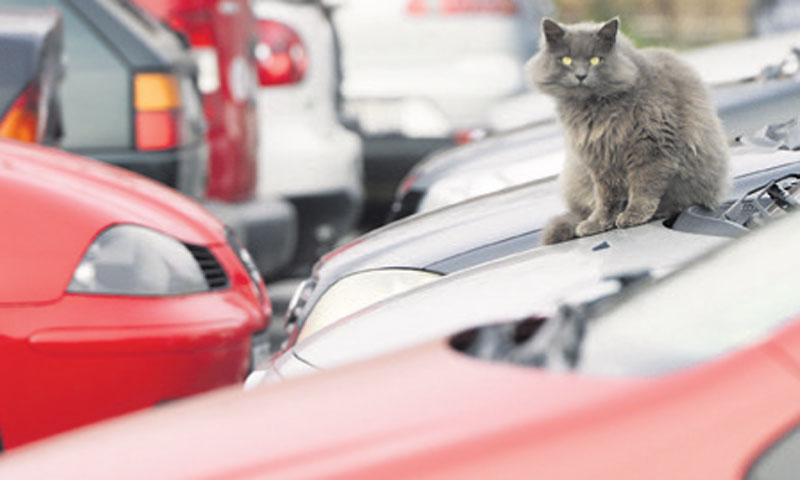 Jedino rješenje promjena poreznog sustava/M. J./PIXSELL