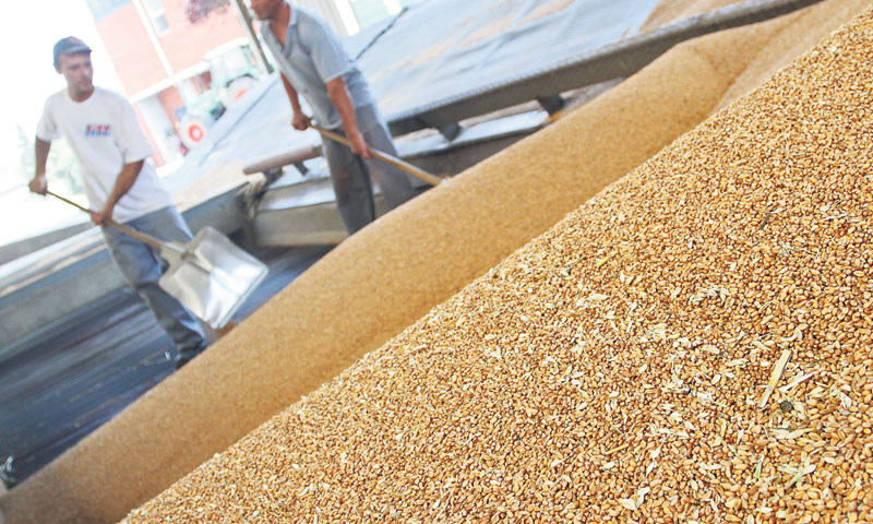 Grupa Čakovečki mlinovi lani ostvarila 1,4 mlrd. kn prihoda i dobit od 45,7 milijuna kuna/Vjeran Žga