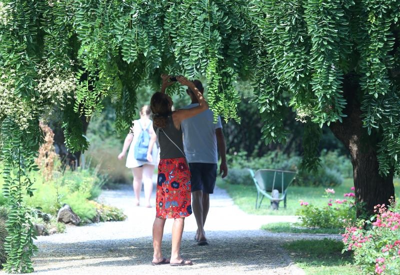 Foto: Sanjin Strukic/PIXSELL