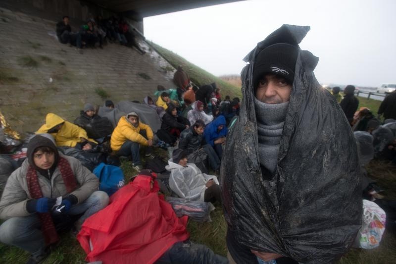 Foto: Srđan Ilić/PIXSELL