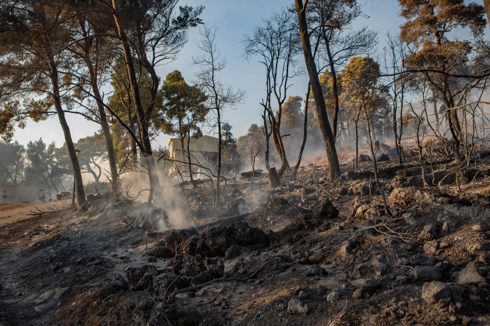 Foto: Grgo Jelavić / Pixsell