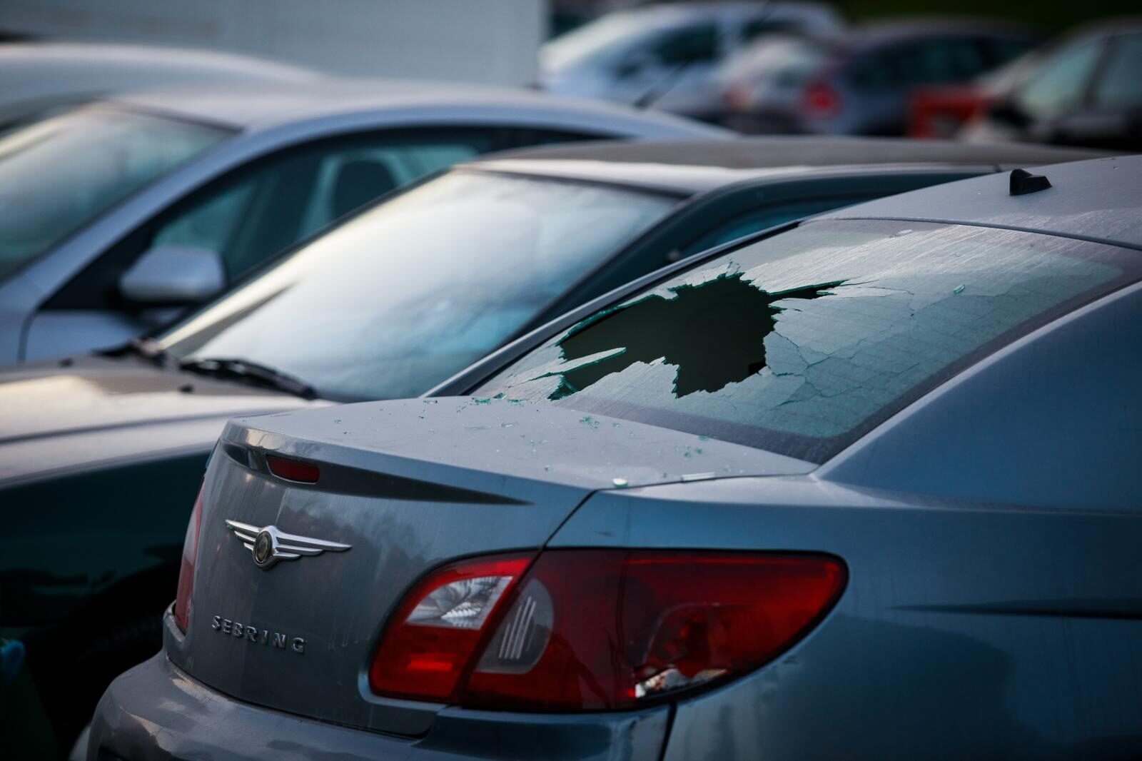 Foto: Milan Sabic/PIXSELL