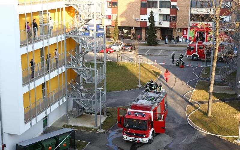 Foto: Željko Lukunić / Pixsell