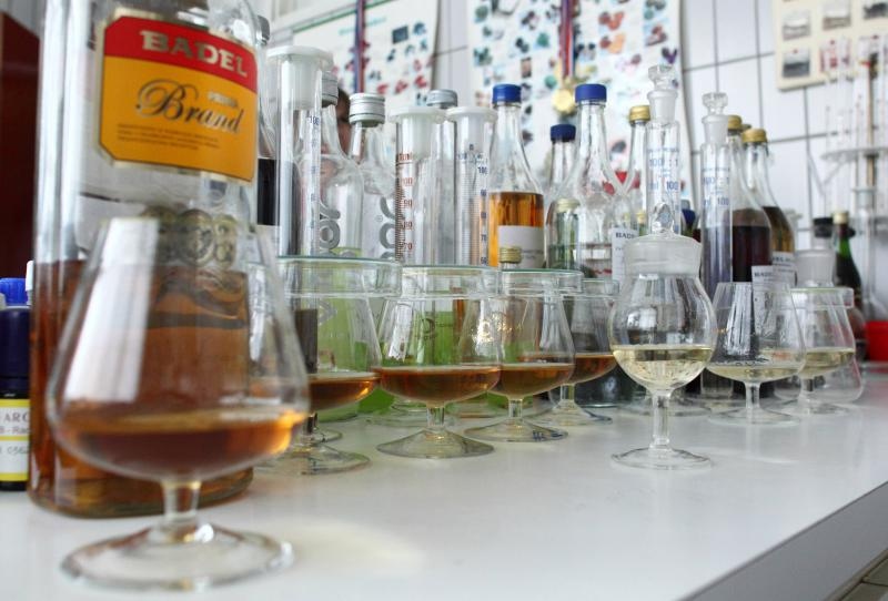 Foto: Željko Lukunić / Pixsell