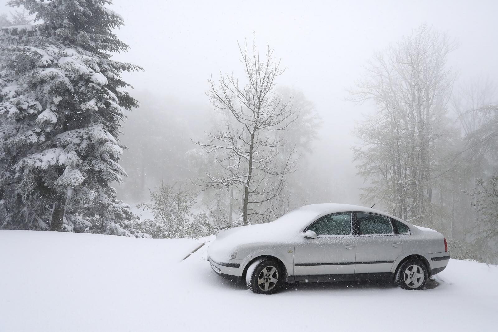 Foto: Patrik Macek/PIXSELL