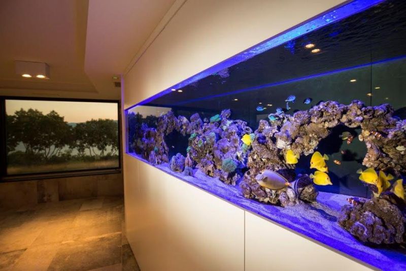 Dental Centar Kalmar Implant Dentistry. Press Foto