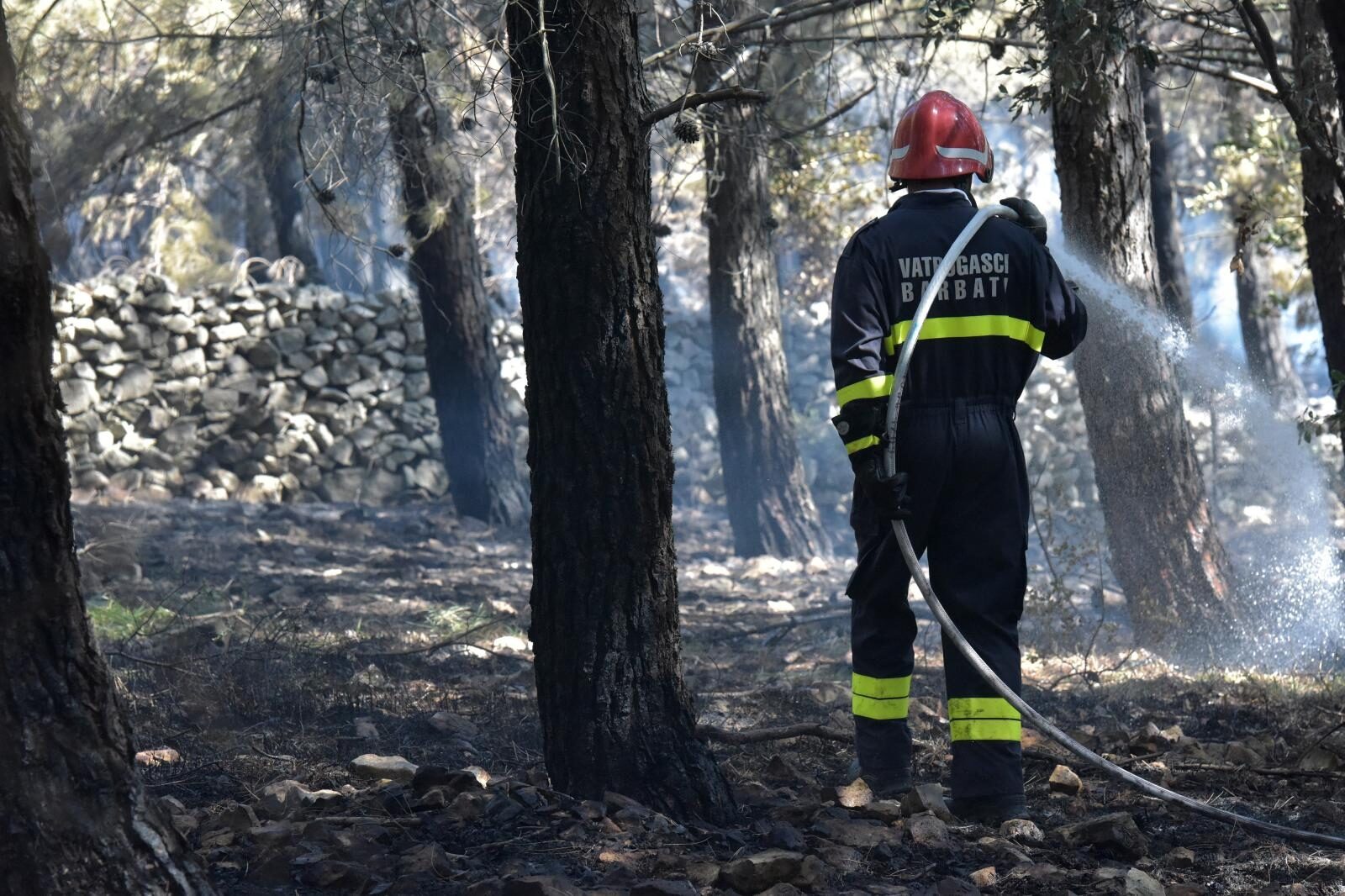 Foto: Dino Stanin/PIXSELL