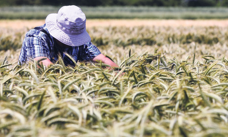 Foto: Marin Tironi/PIXSELL