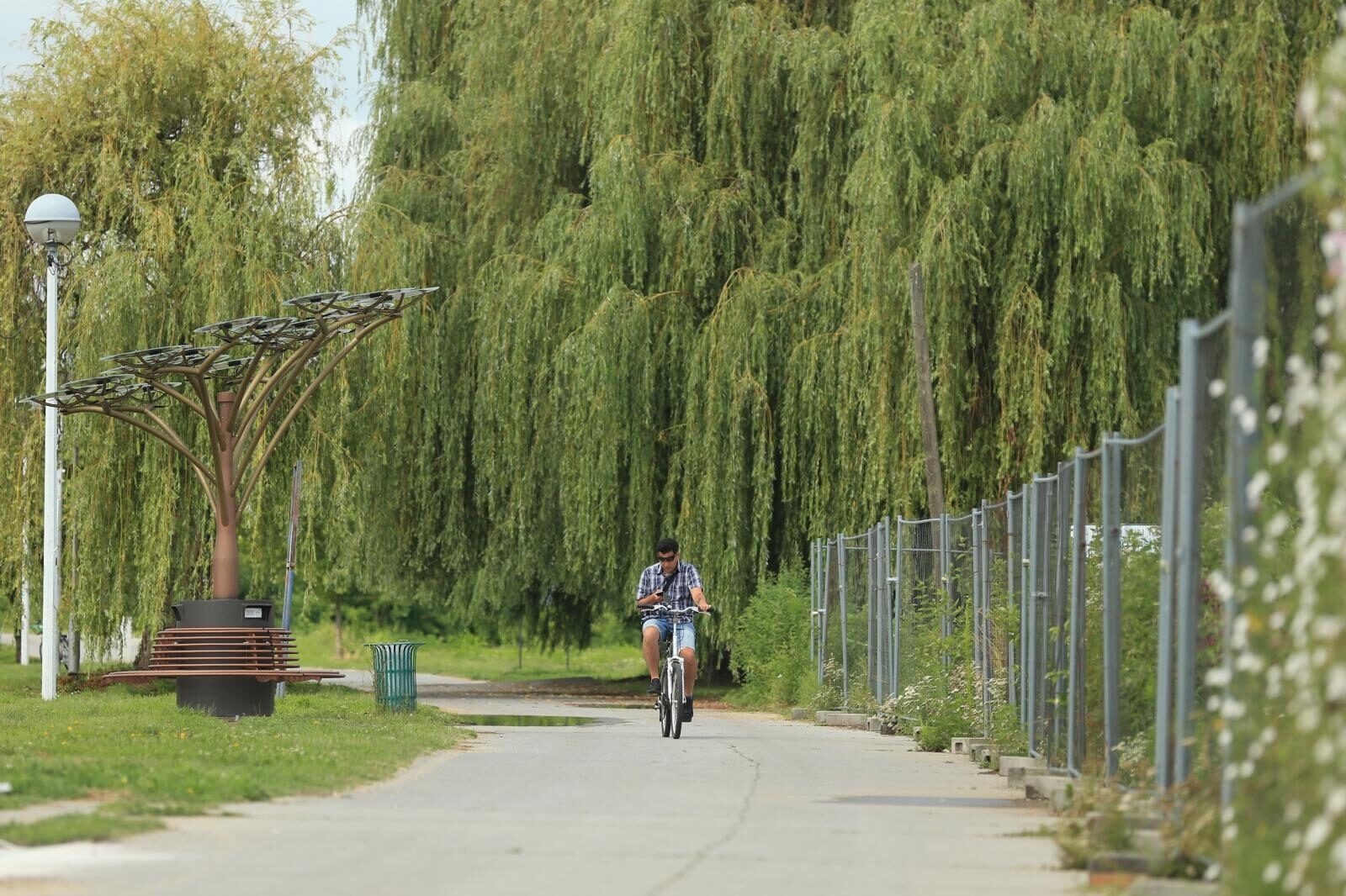 Foto: Dubravka Petric/PIXSELL