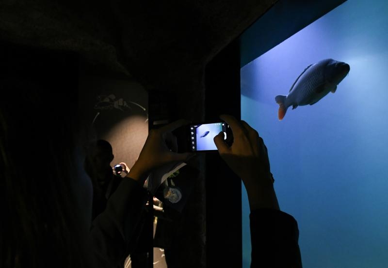 Foto: Davor Visnjic/PIXSELL