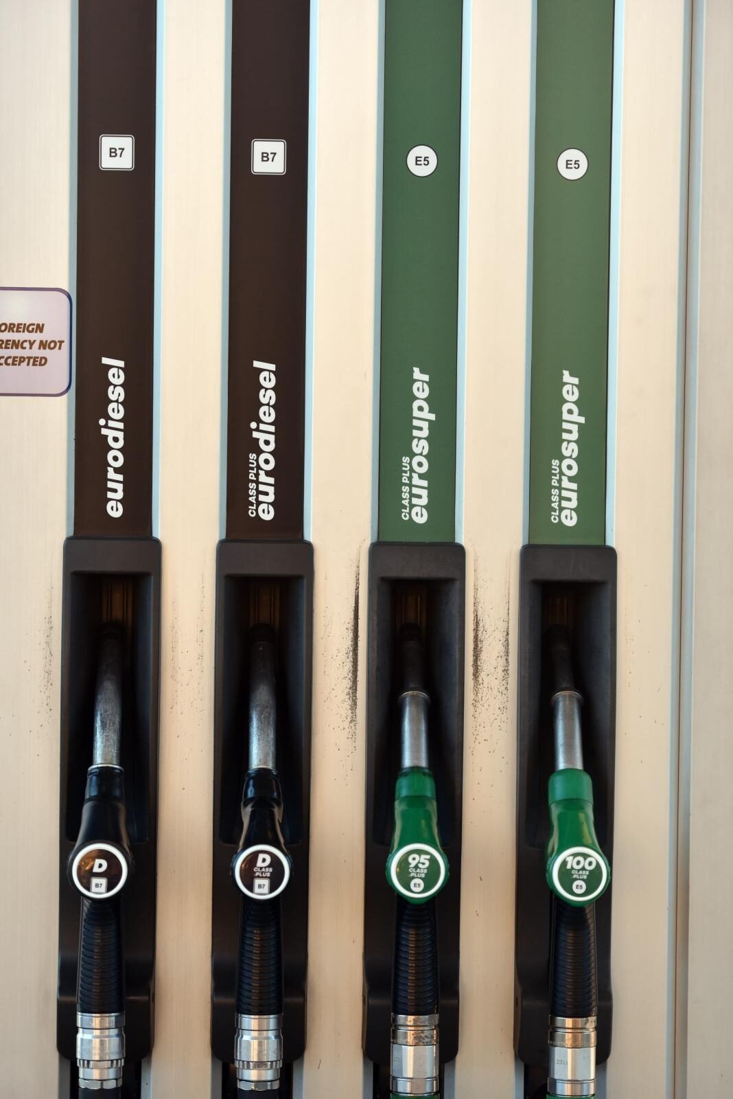 Foto: Hrvoje Jelavic/PIXSELL