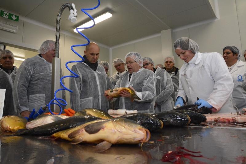 Foto: Ivica Galović / Pixsell