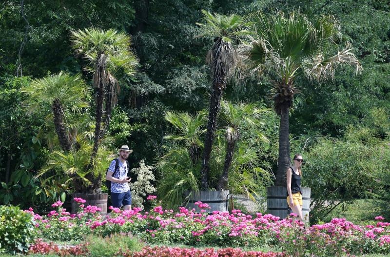 Foto: Sanjin Strukic/PIXSELL