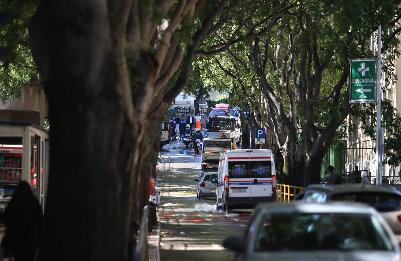 Foto: Ivo Cagalj/PIXSELL