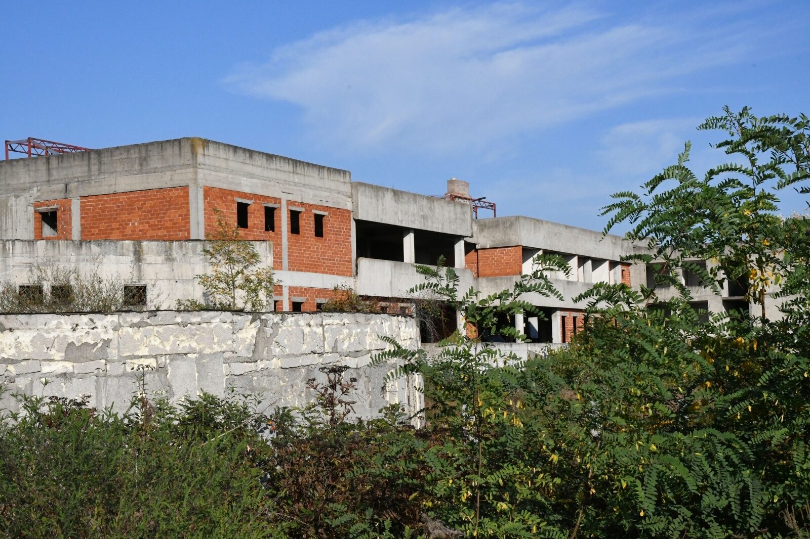 Foto: Ivica Galovic/PIXSELL