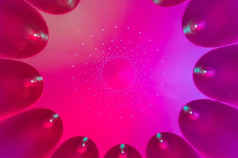 Foto: Davor Puklavec/PIXSELL