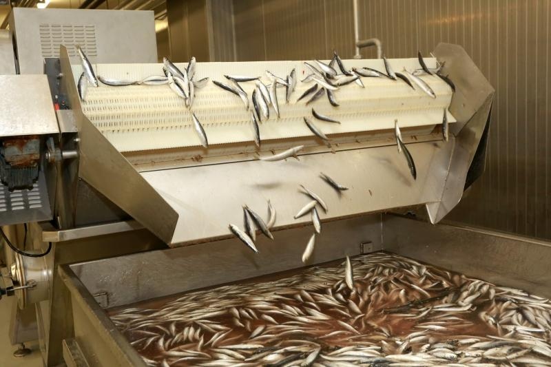 Foto: Miranda Cikotić / Pixsell