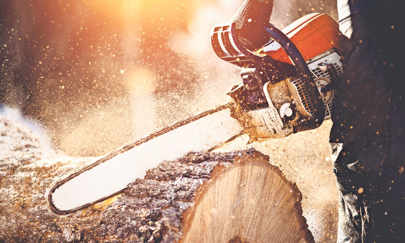 U pitanju je opstanak malih pilana, najviše su pogođeni proizvođači peleta/Shutterstock