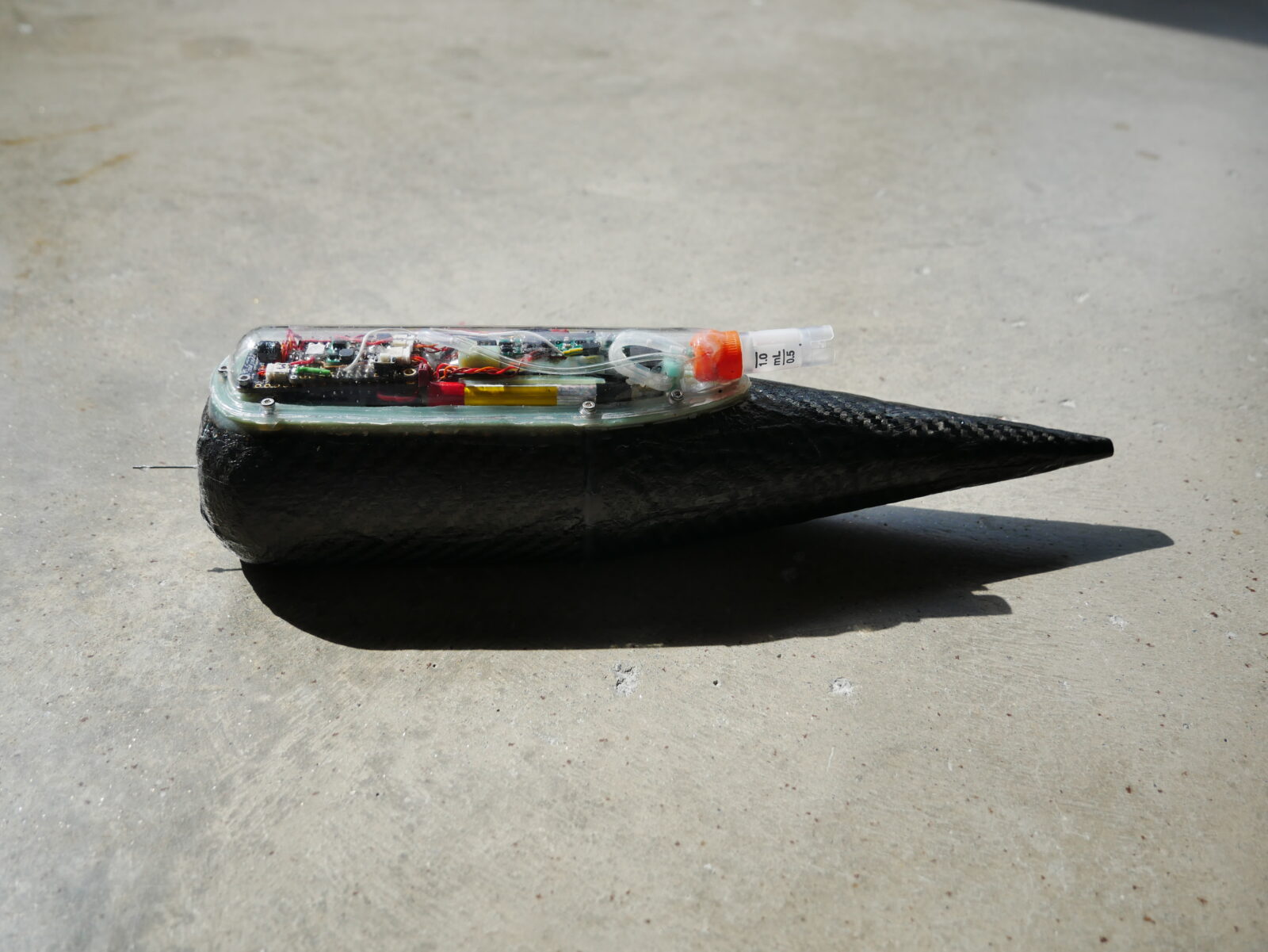 Foto: Hayley Dunning/Imperial College London