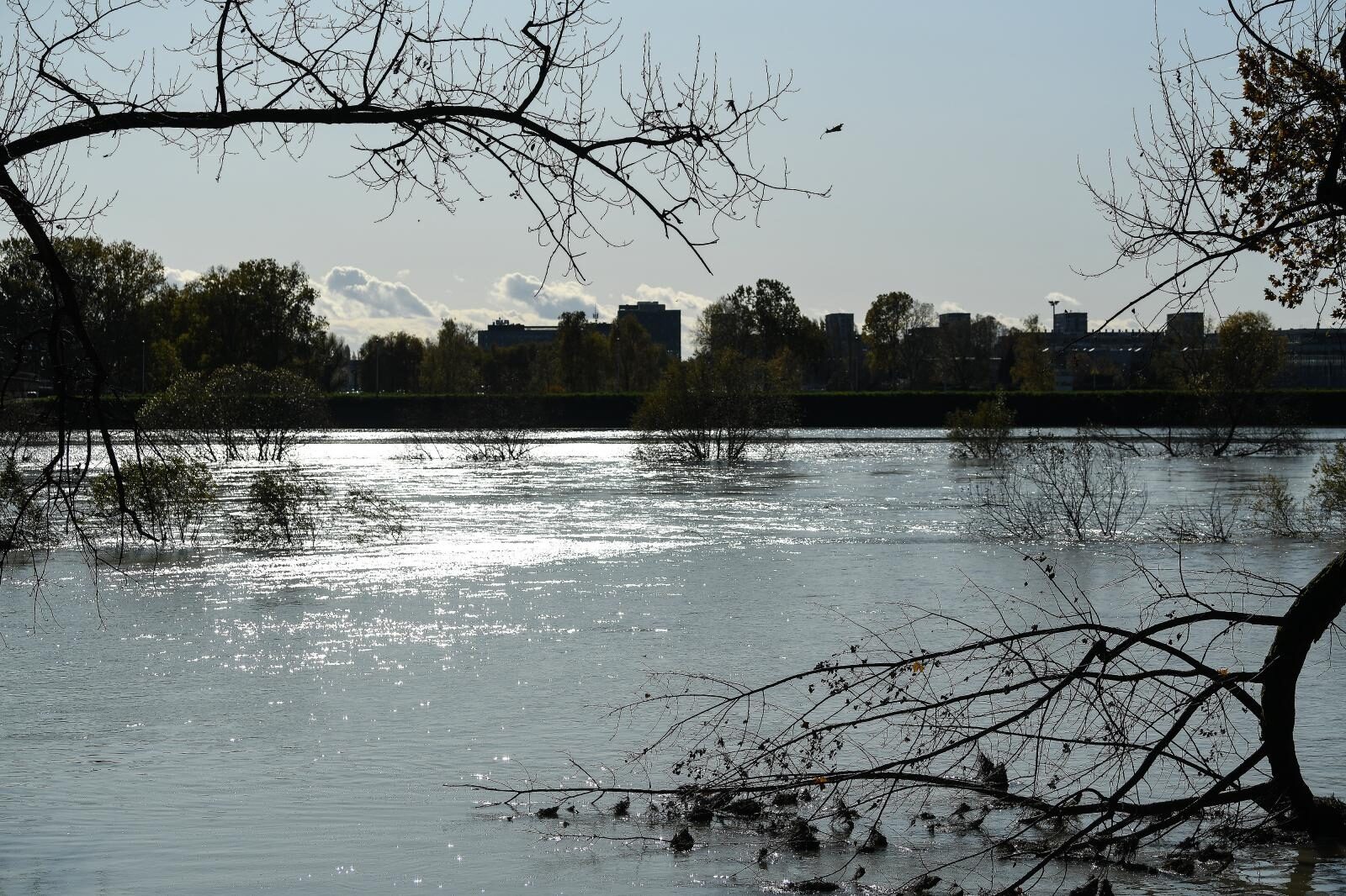 Foto: Sandra Simunovic/PIXSELL