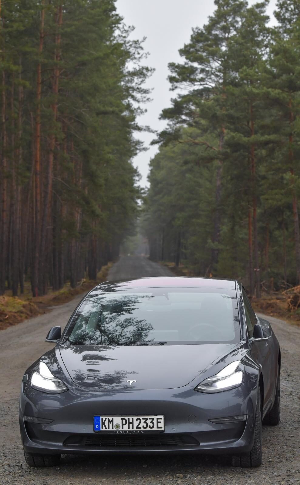 Foto: Patrick Pleul/DPA/PIXSELL